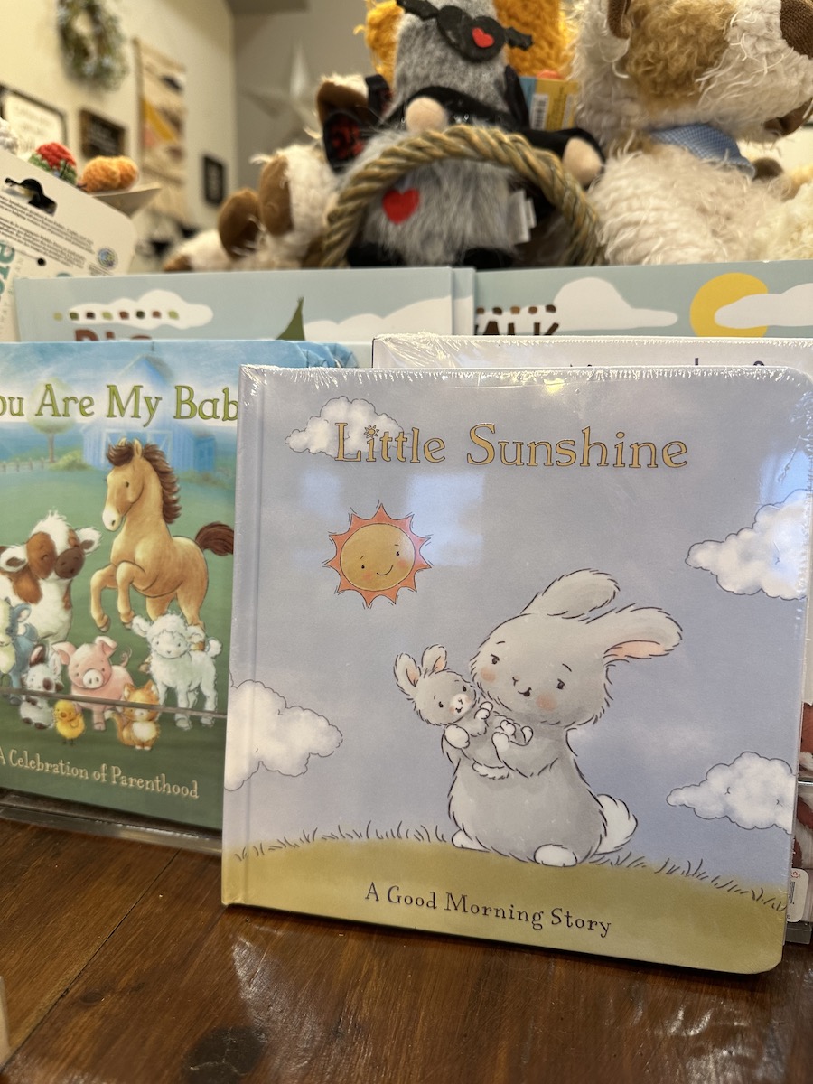 Gifts for the Little Ones in Your Life storybooks